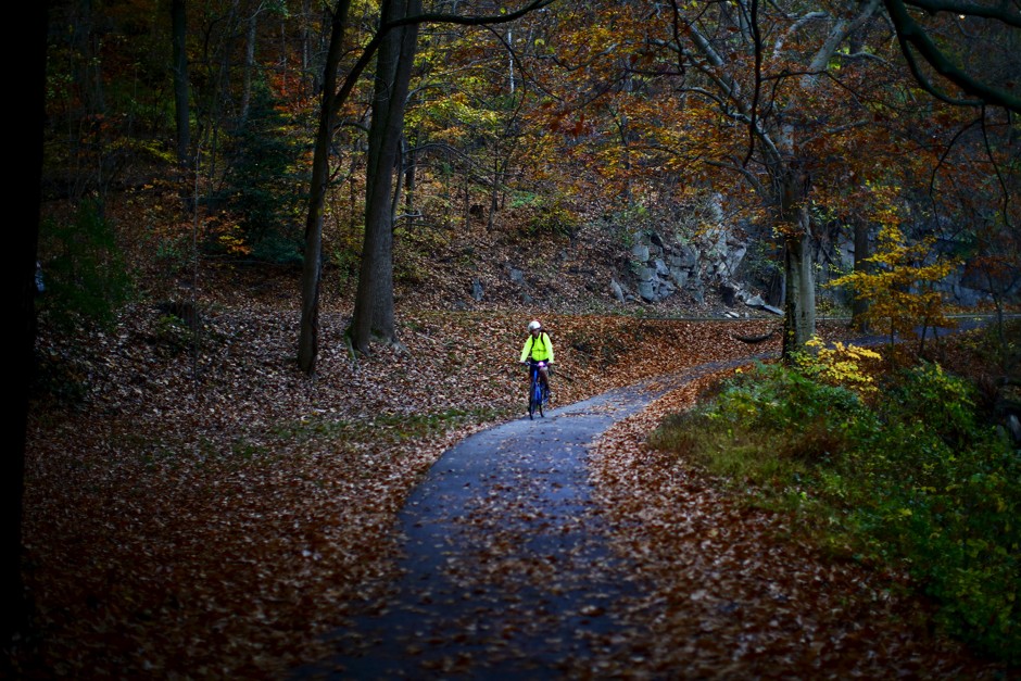 A man rides his bicycle in Rock Creek Park in Washington D.C. 