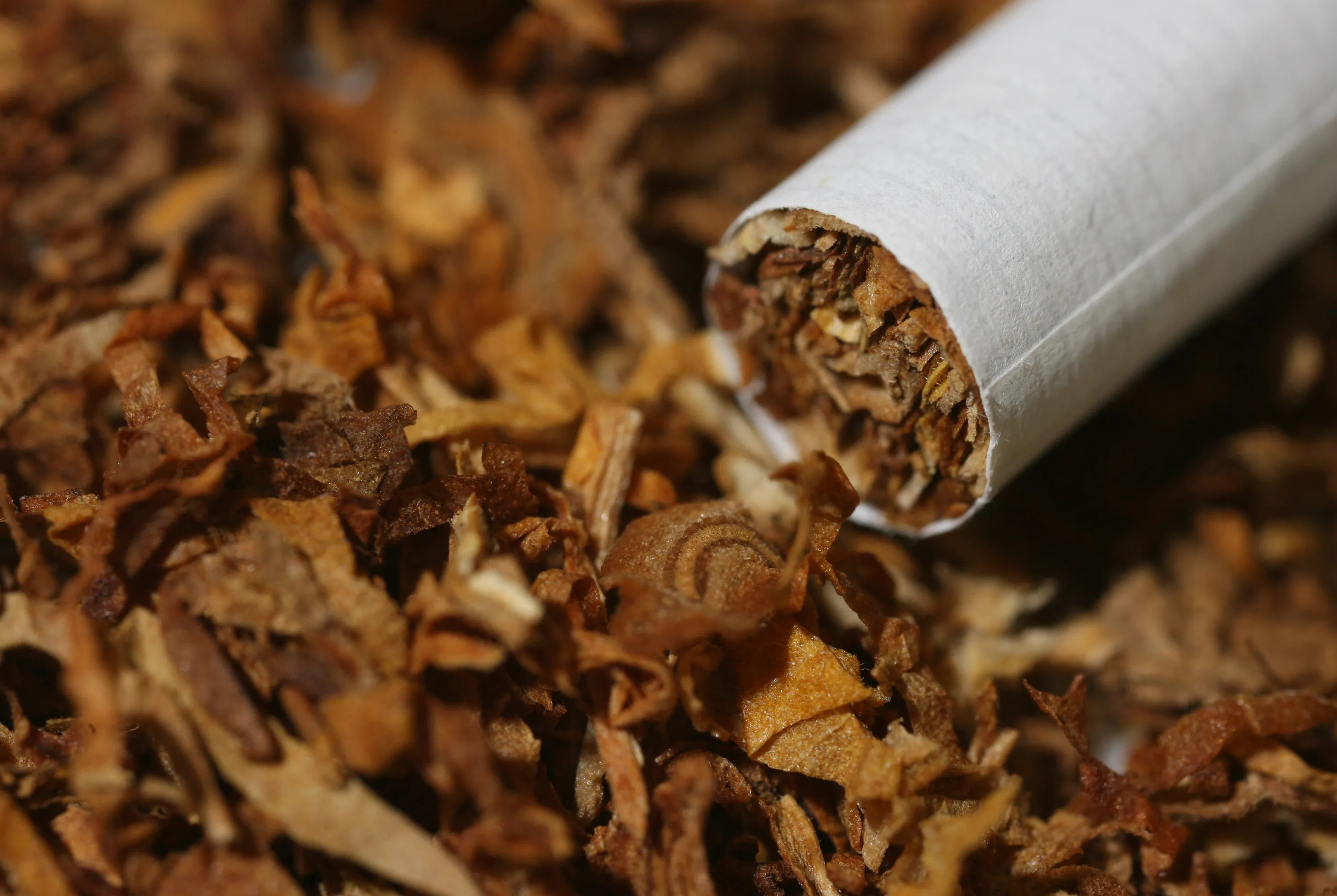 are blue cigarettes stronger than red Marlboro Red vs Gold: What Sets the Two Classics Apart – Top Smoke