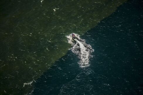A jet ski passes over a sediment and sewage spill at the entrance of Barra da Tijuca beach.