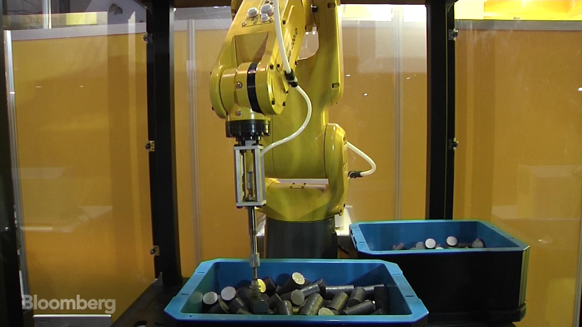 Zero to Expert in Eight Hours: These Robots Can Learn For