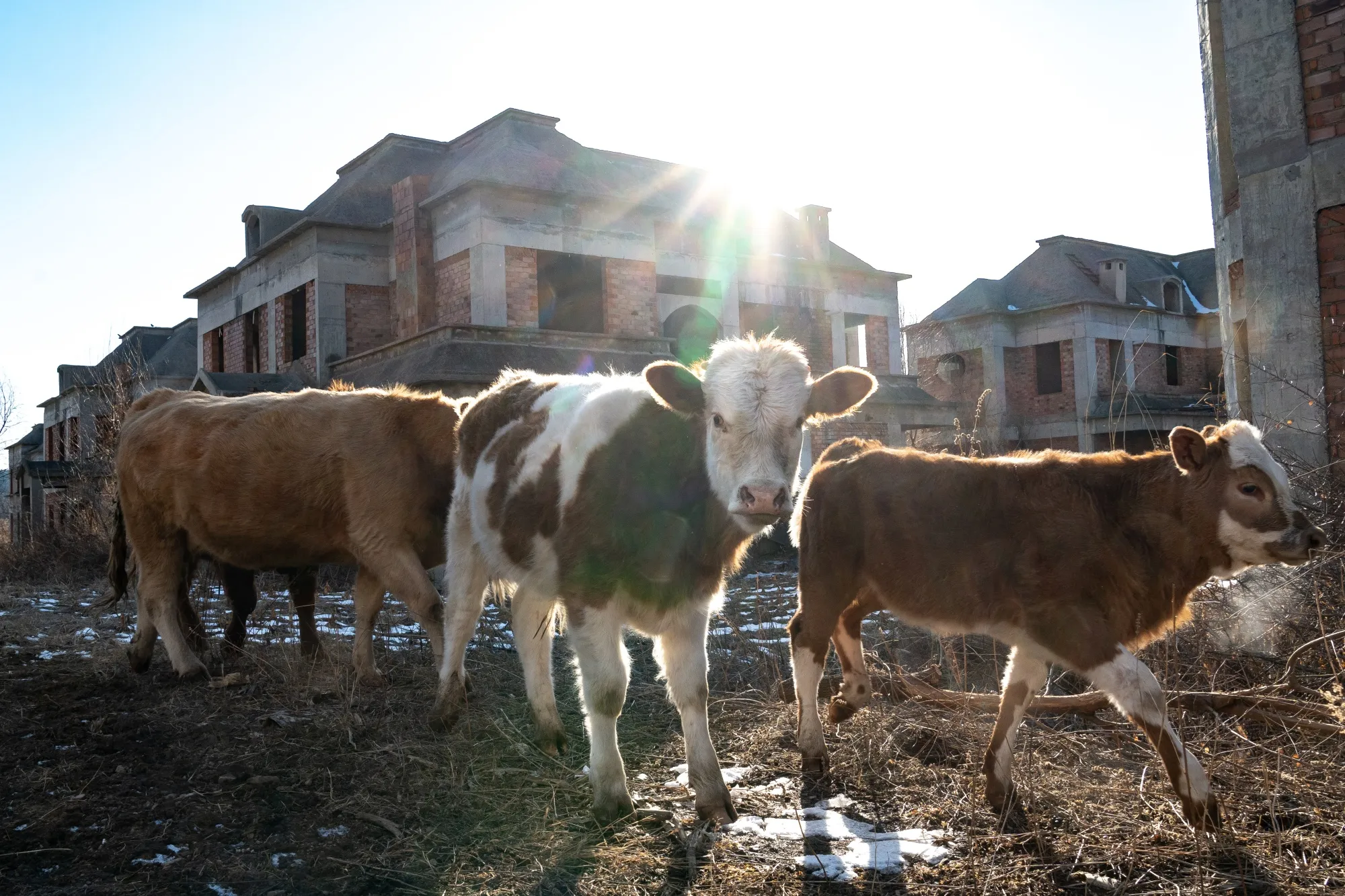 What’s wrong with China’s economy?