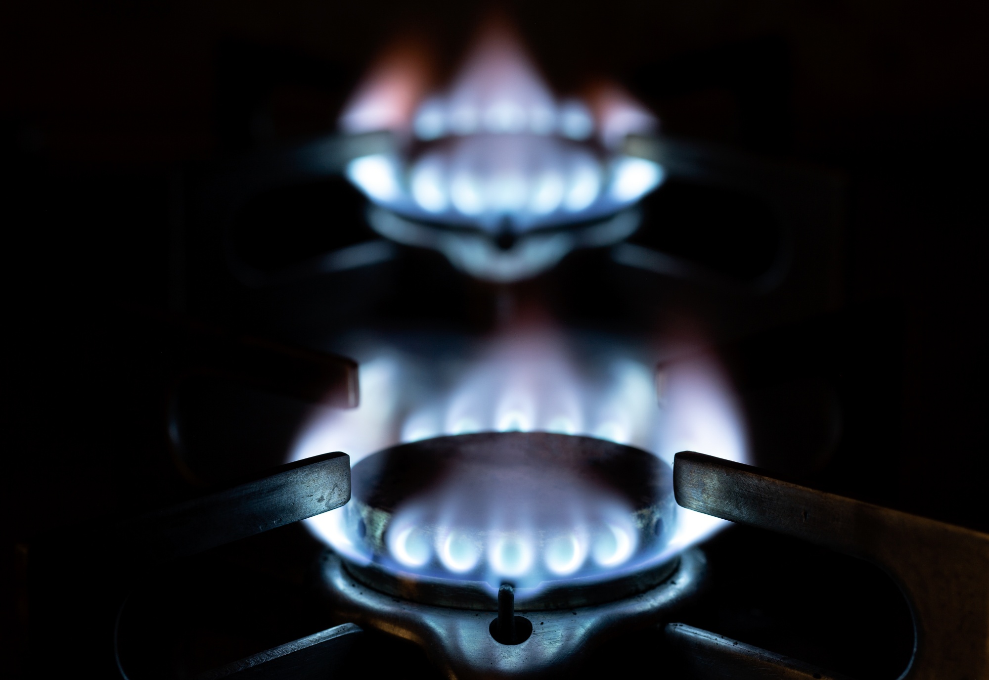Natural gas burns on a domestic kitchen stove.
