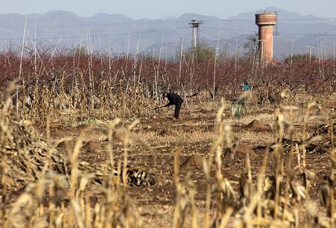 China Rural-Income Gains Aid Economic Shift Toward Consumption