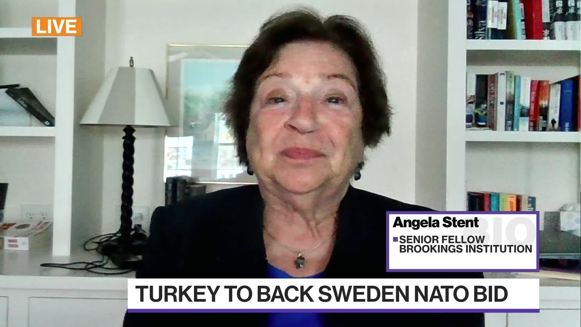 Watch Angela Stent on Turkey, NATO, Putin - Bloomberg