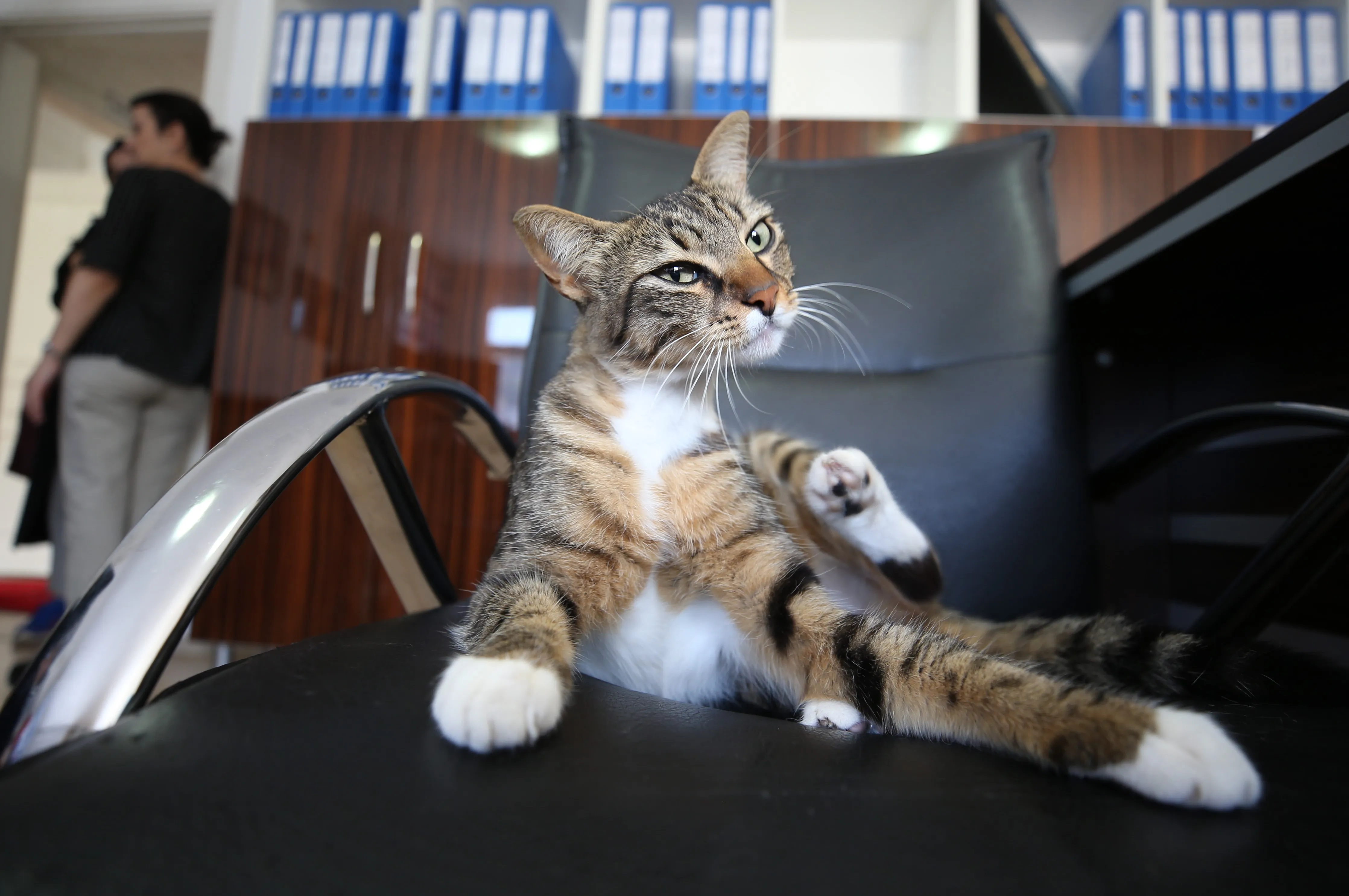 That’s my chair.