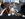 Municipality opens up the doors for stray cats