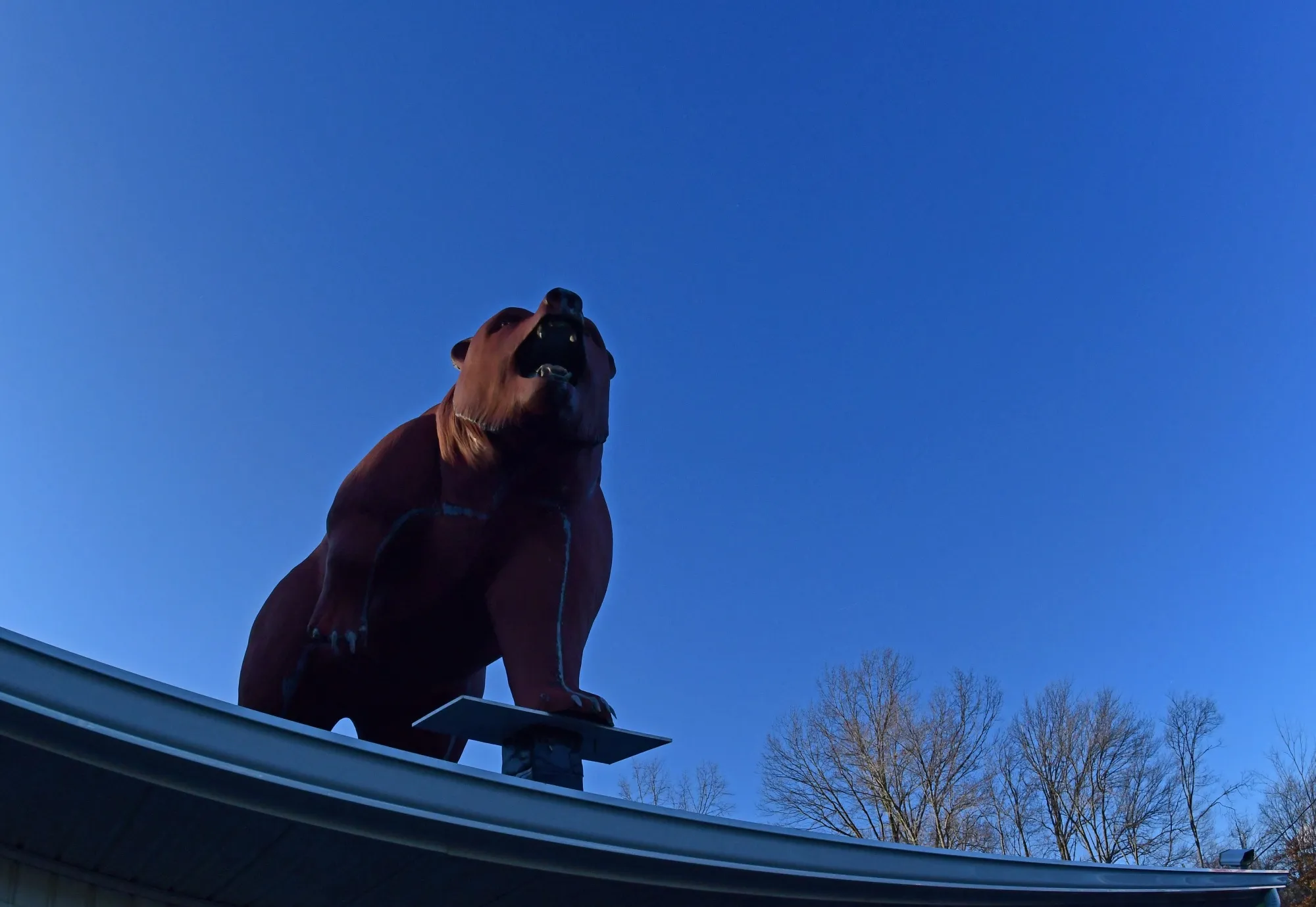 It’s a bear market.