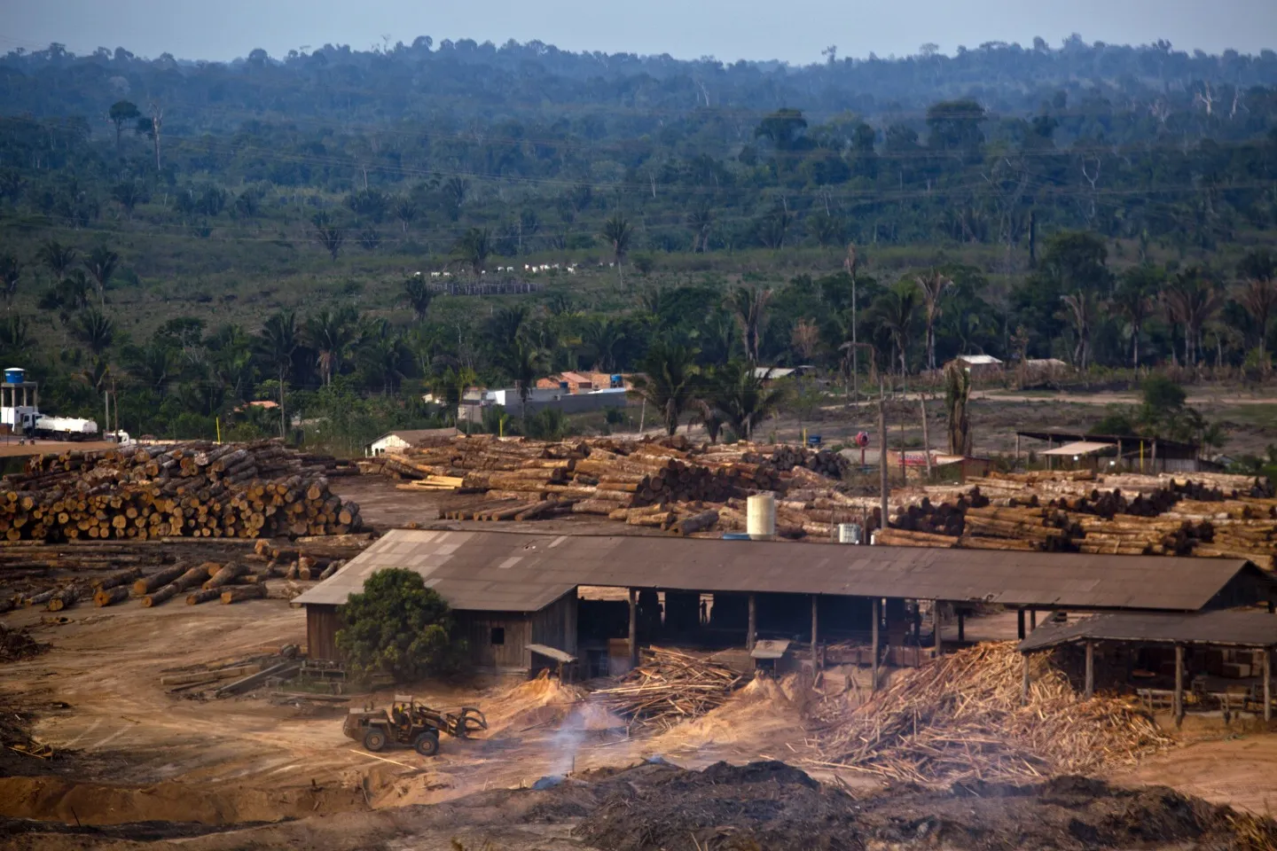 Logging Operations As Government Says Amazon Deforestation Slowing