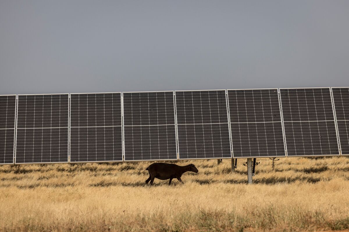 Spain’s Renewable-Energy Boom Loosens Gas’s Grip on Power Prices