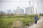 A farmer carries a hoe on his shoulder while walking past a rice field as residential buildings stand under construction in the background on the outskirts of Shanghai, China.