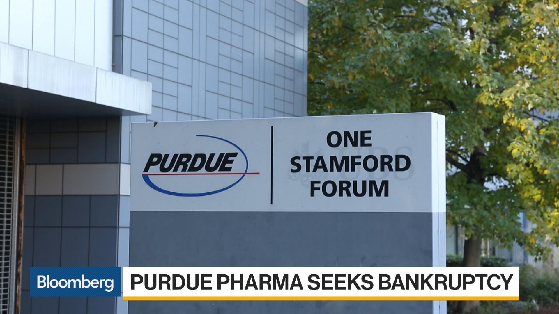 Opioid Crisis Purdue Pharma Seeks Bankruptcy Protection Bloomberg