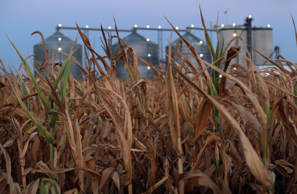 Corn Ethanol Is Worse Than Keystone - Bloomberg