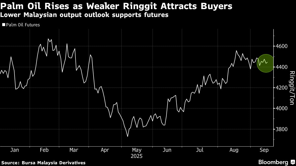 ⚫️ BLOOMBERG: Aumento dell'olio di palma per valuta malese debole e previsioni di produzione in calo