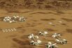 Serious People Are Giving Serious Thought to Colonizing Mars