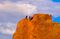 Colorado Springs