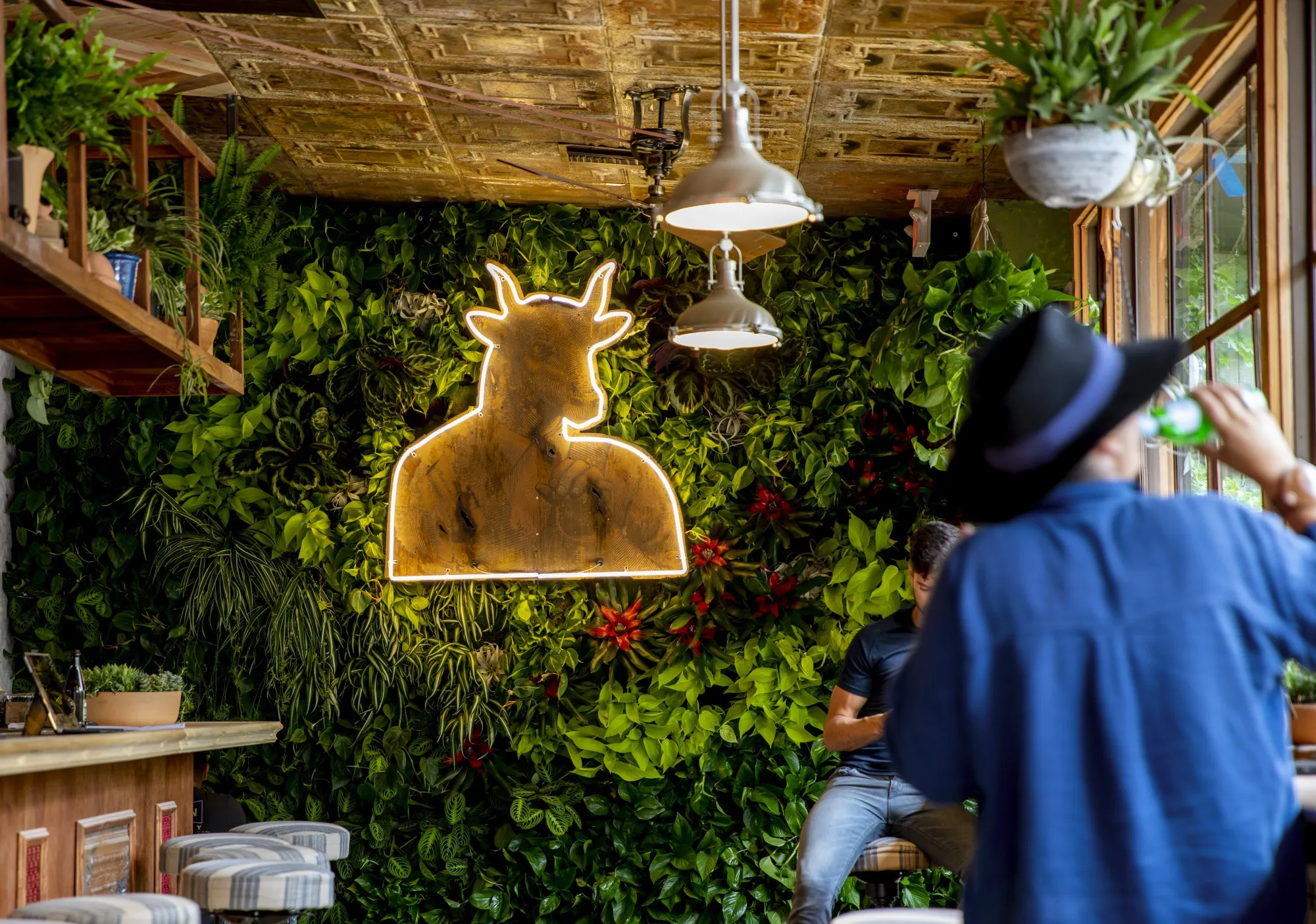 Cannabis Cafe, First in U.S., Brings Amsterdam to Hollywood - Bloomberg