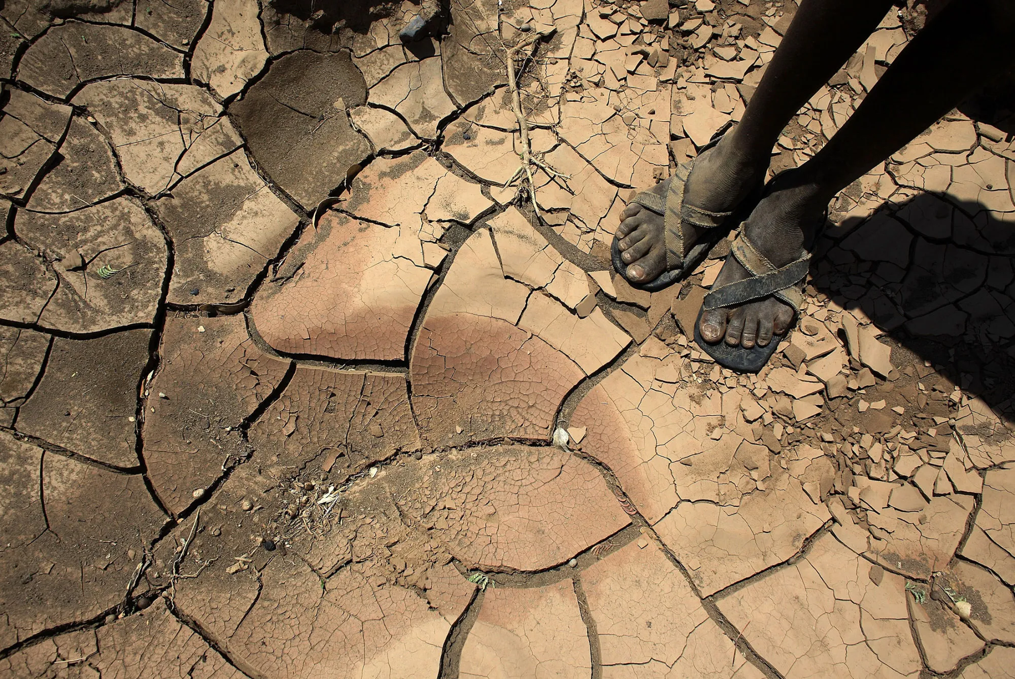 Turkana Tribe's Way Of Life Is Threatened By The Effects Of Climate Change
