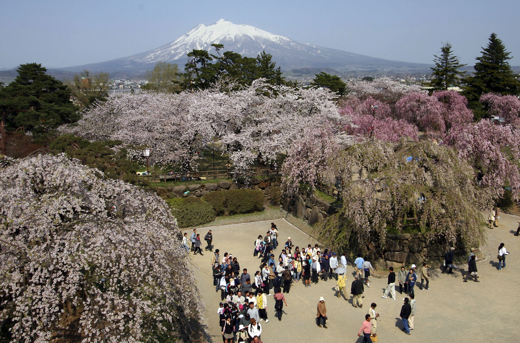 Japan Travel: Tourist Guide to Summer Festivals, From Kyoto to Tokyo and  Osaka - Bloomberg