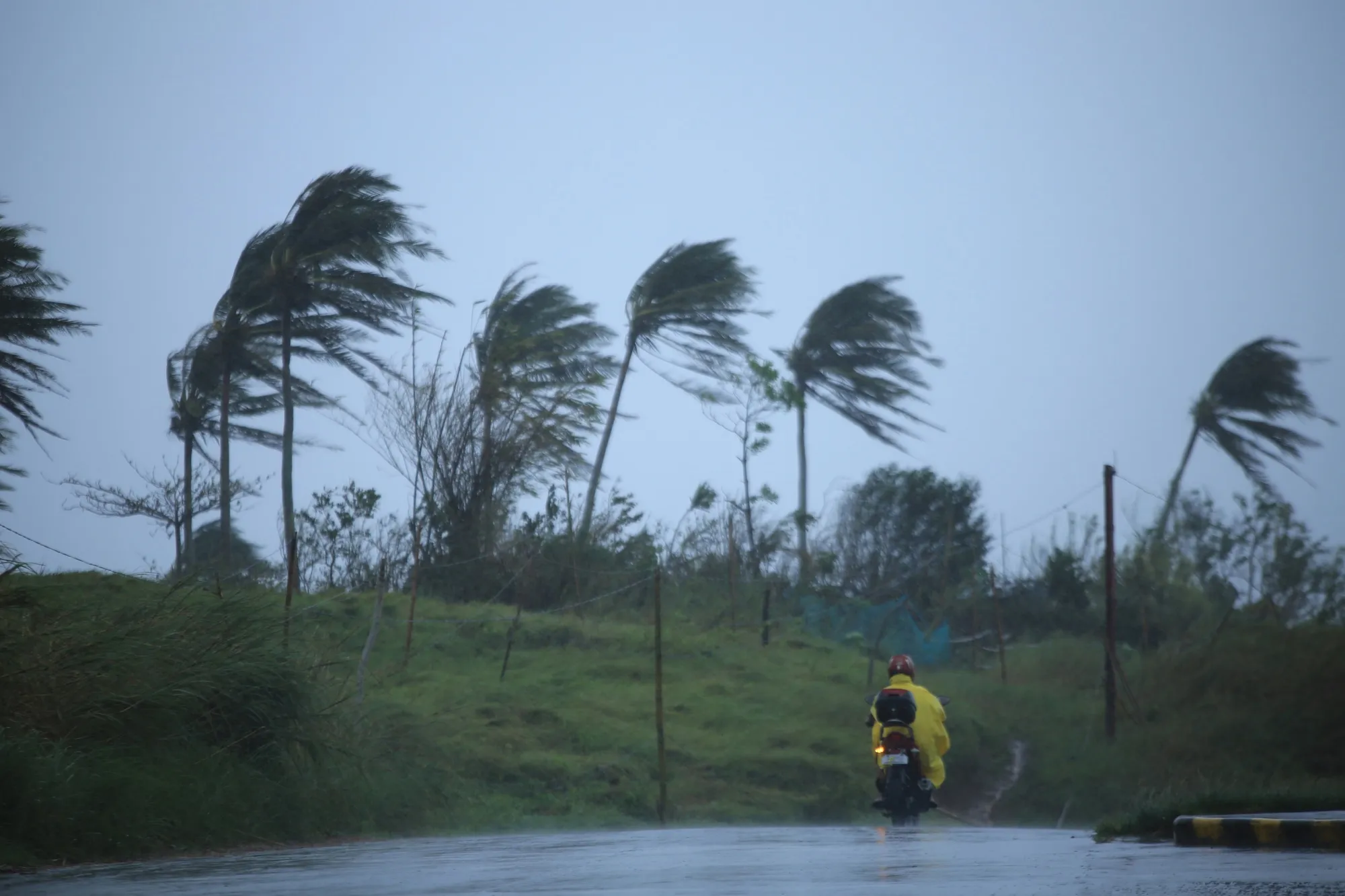 Strong winds blowing in Legazpi City yesterday. The latest storm is lashing regions already battered about two weeks ago by Super Typhoon Goni.