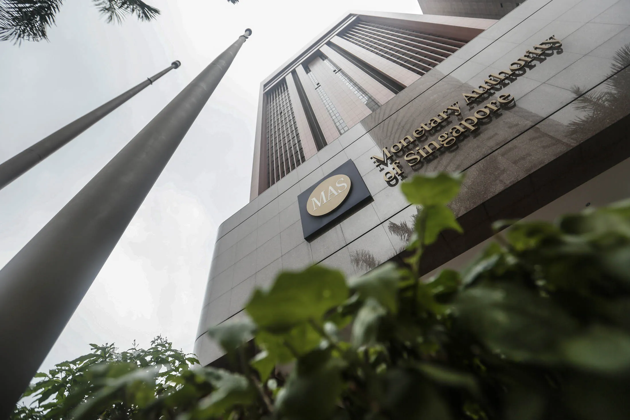 1476316124_monetary authority of singapore