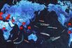 How China Built a Network of Ports Encircling the Globe
