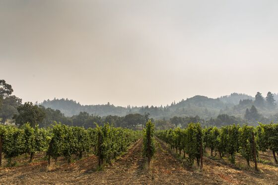 California’s Wildfires Came at the Worst Time for Wine Industry