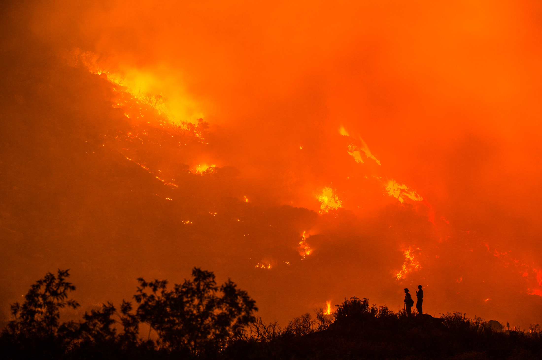 California's Costly Wildfire Season Might Never End - Bloomberg