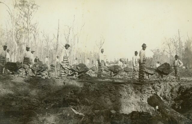 Angola prisoners working on a levee in 1901.