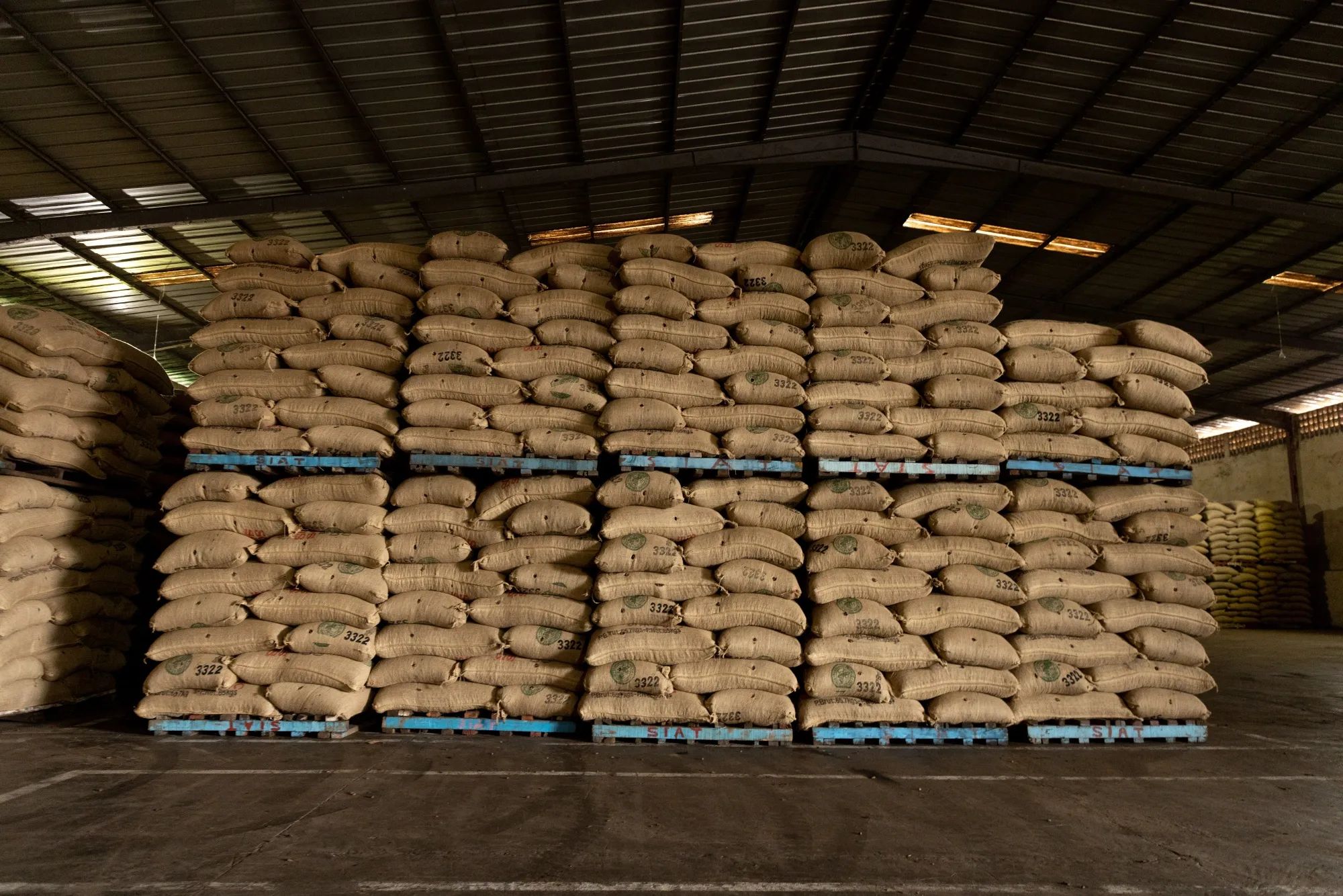 Sacks of cocoa beans for shipment abroad from a warehouse in San-Pedro, Ivory Coast.
