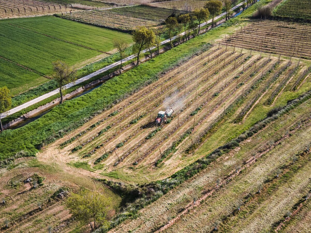 EU Seeks to Shield Farmers From War-Induced Fertilizer Shock