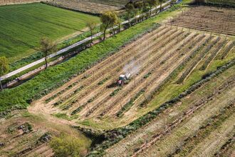 Spanish Fertilizer Wholesale Distributor as Nations Race to Prevent Food Crisis