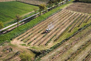 Spanish Fertilizer Wholesale Distributor as Nations Race to Prevent Food Crisis