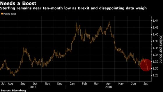 Pound Traders Tested by Brexit May Have to Wait for Summer Break