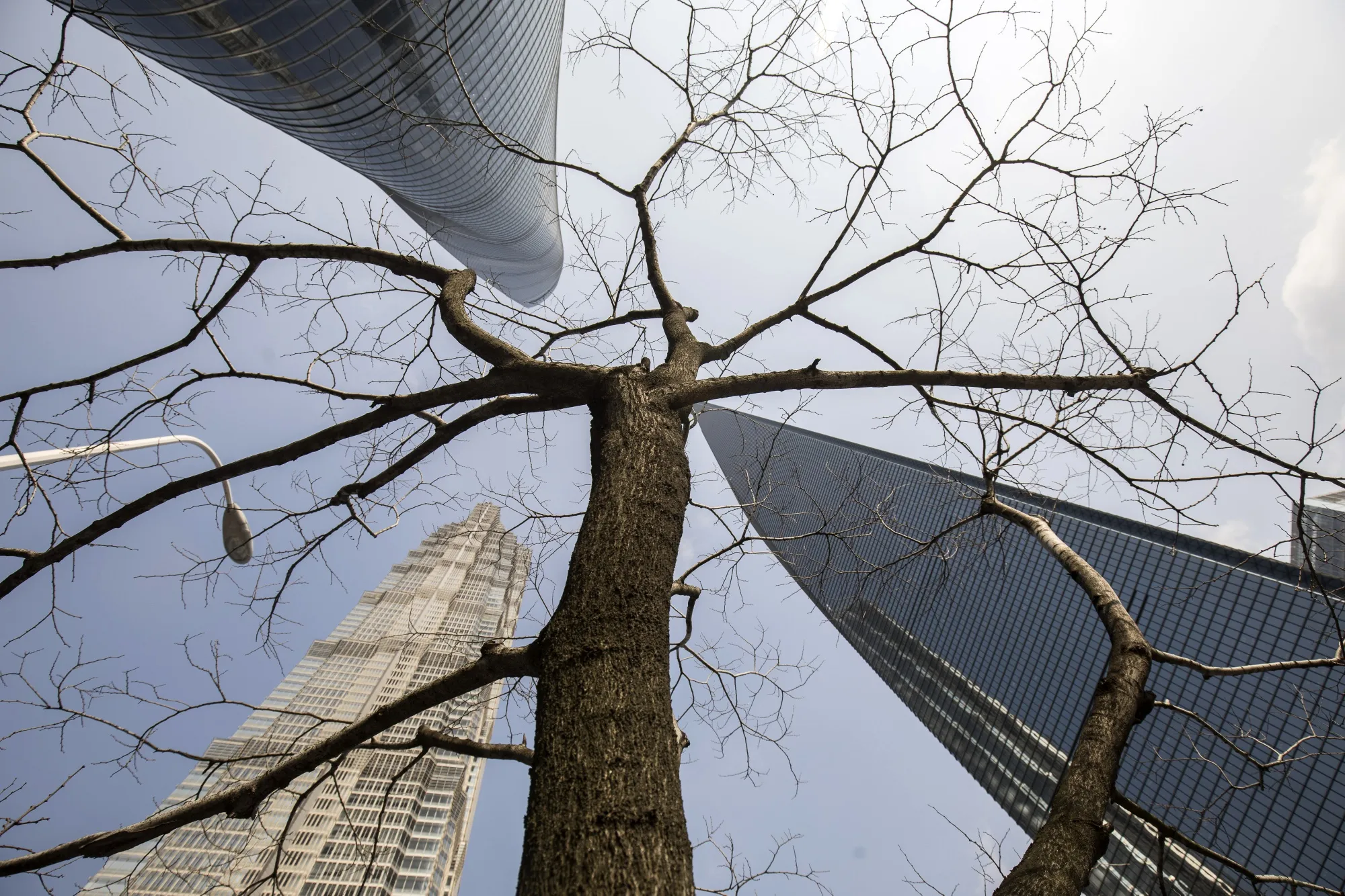 Shanghai's Financial District as China Targets Smaller Lenders in Latest Shadow Banking Crackdown