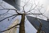 Shanghai's Financial District as China Targets Smaller Lenders in Latest Shadow Banking Crackdown