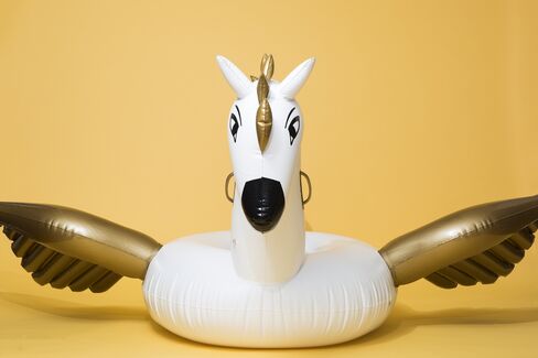 A FUNBOY Pegasus pool float.