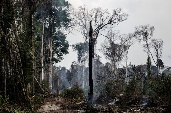 Amazon Gold and Army Suspicion Fuel Bolsonaro’s Rainforest Rage