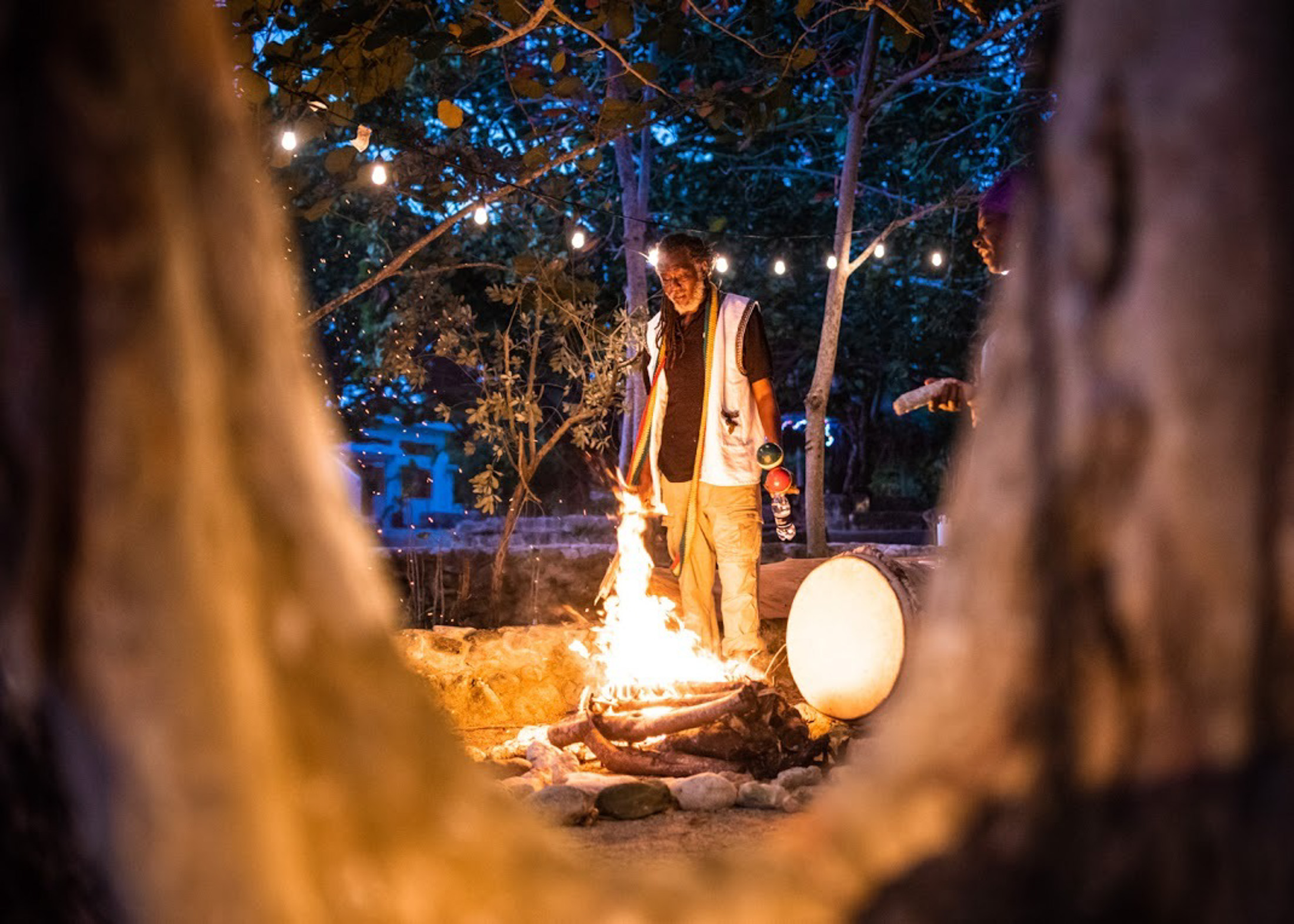 AllInclusive Magic Mushroom Retreats Are the New Luxury ‘Trips’ Awaken