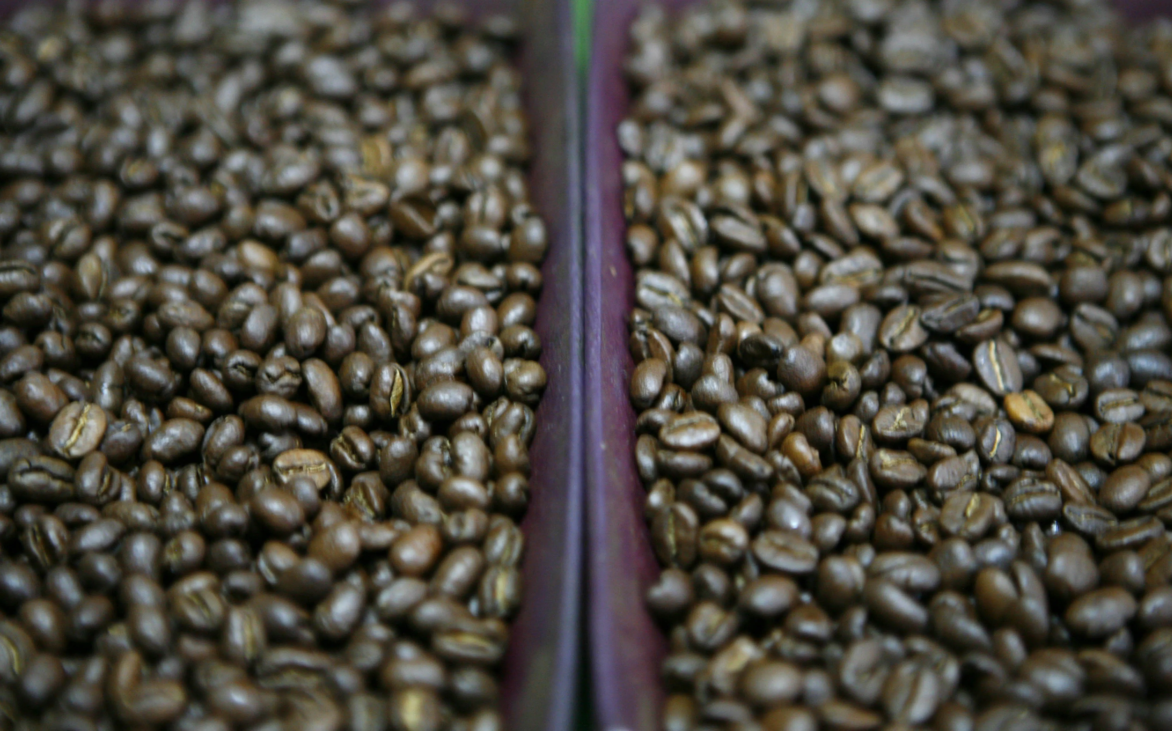 Roasted coffee is displayed at the Doka Estate near Alajuela, Costa Rica, on Wednesday, July 23, 2008. Coffee fell for the first time in three trading sessions in London on speculation growers will accelerate sales.