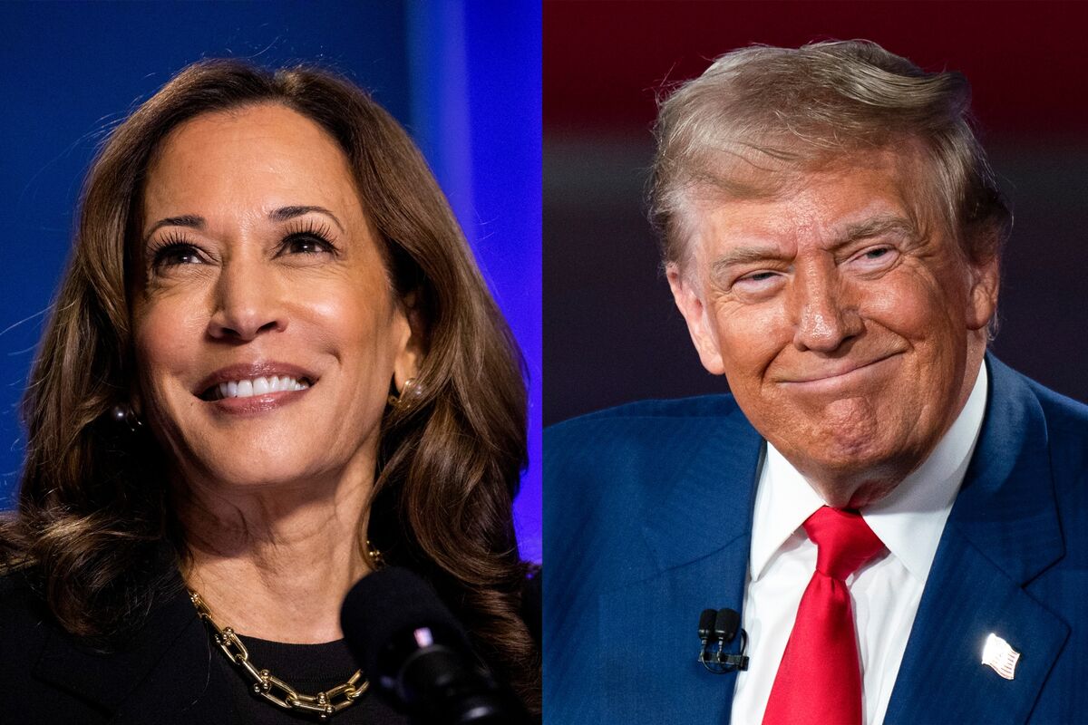 Bloomberg Survey Predicts Wealth Growth Under Trump or Harris