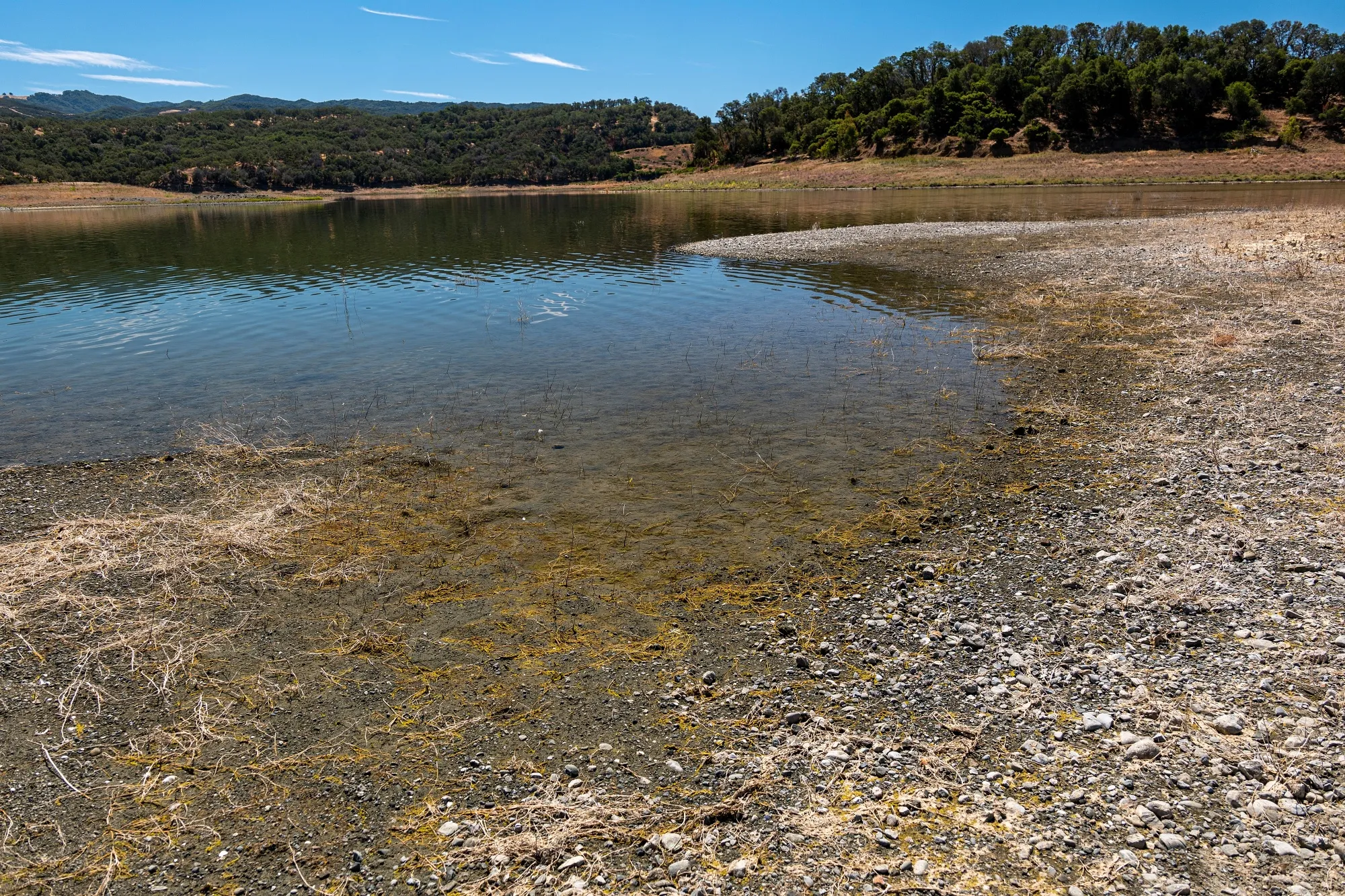 Lake Mendocino during a drought in Mendocino County, California, on Aug. 10.