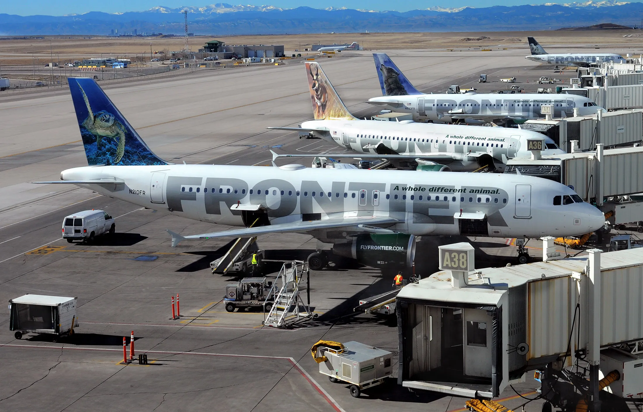 Frontier Airlines planes at Denver International Airport.
