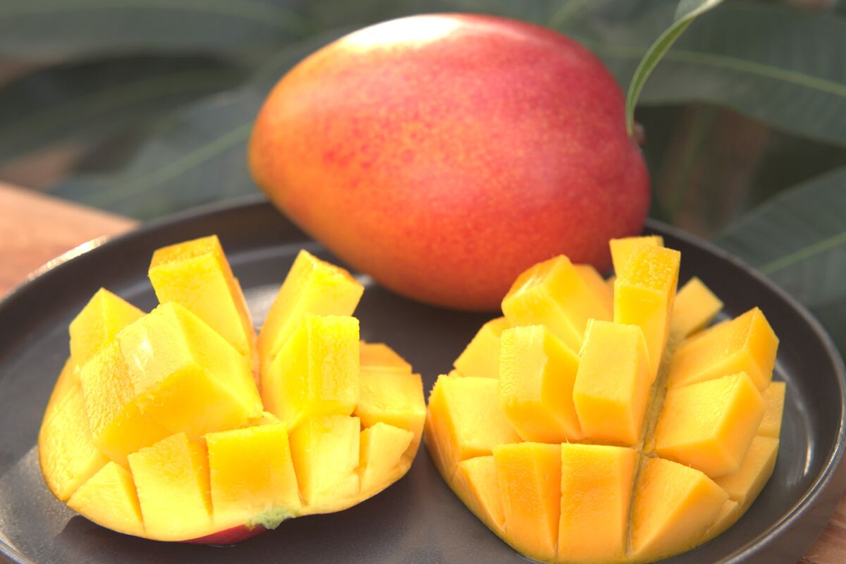 230ドルの冬のマンゴーに対する日本の秘密：農家が果物をだます