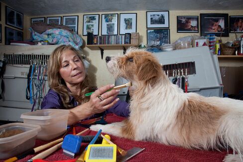 Odd Jobs: Animal Colorist