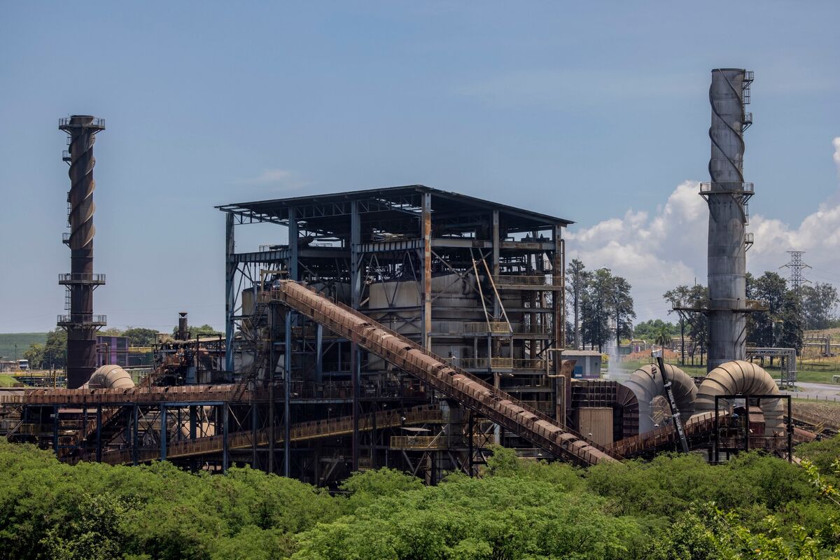 Brazil cân nhắc tăng cường pha trộn ethanol để hỗ trợ người tiêu dùng và nhà máy