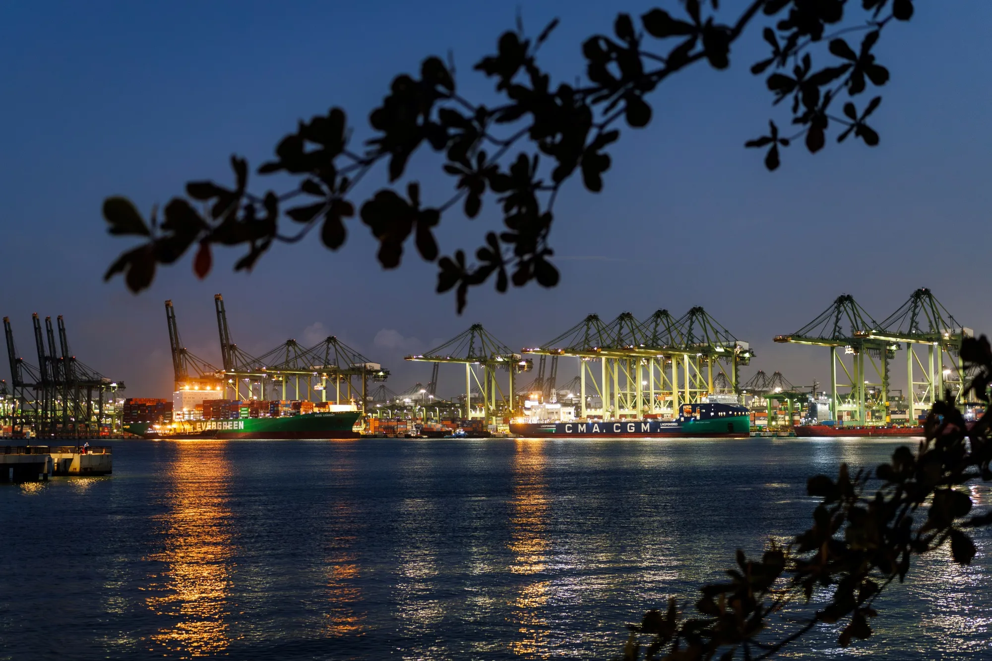 Container ships at the PSA International’s Pasir Panjang Terminal at dawn in Singapore.