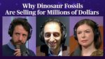 Inside the Booming Market for Dinosaur Fossils | Odd Lots