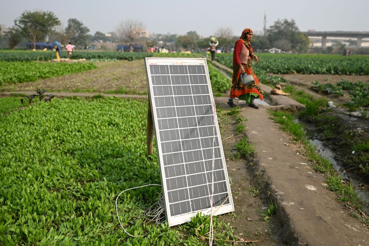 🟨"Stabilità Energetica: Lezioni dall'India per Europa e Spagna"