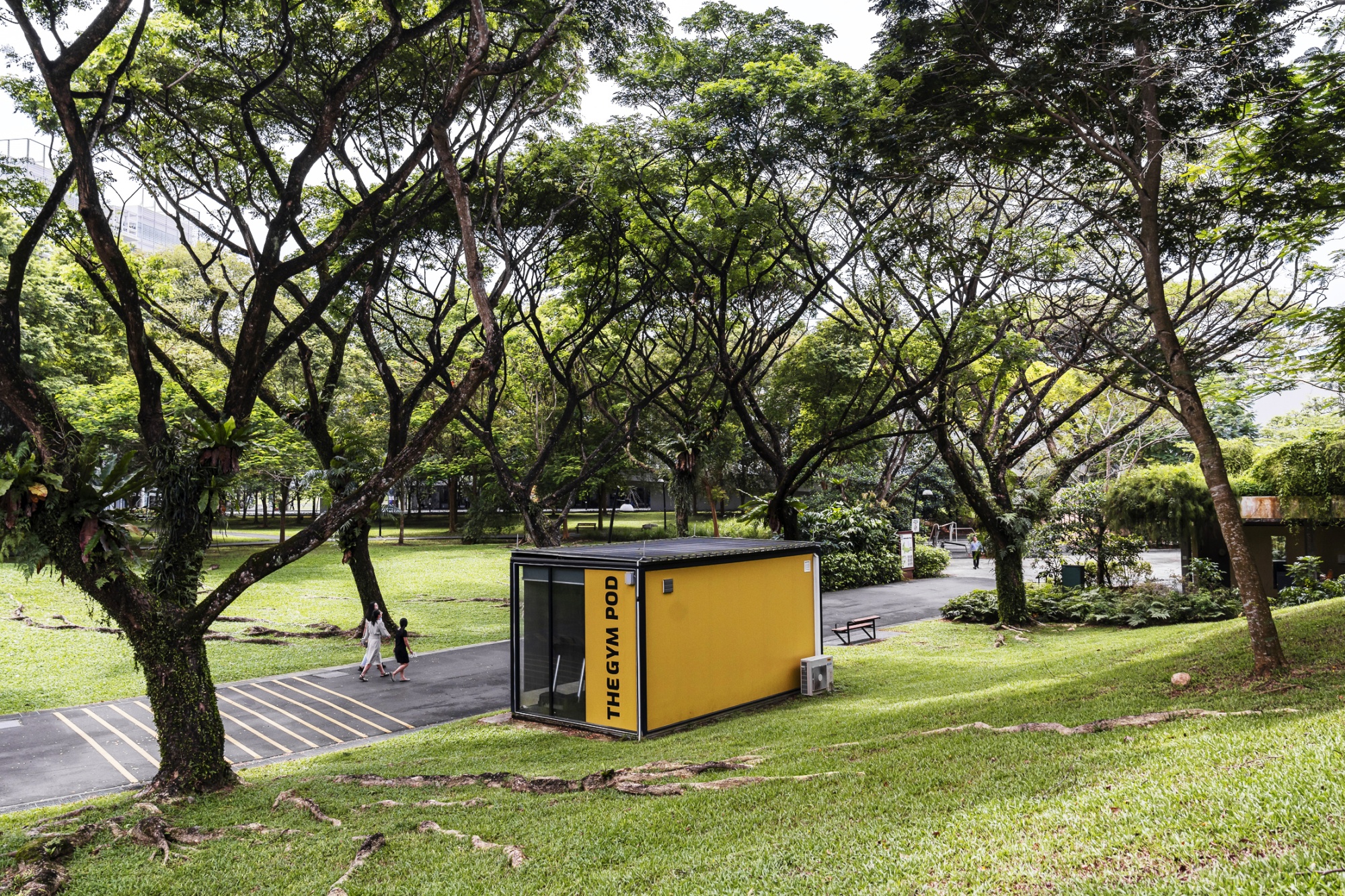 Singapore Makes Room for Tiny Gyms With Private Workouts - Bloomberg