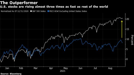 Mr. Greed & Fear Sees Both Playing Out in Gravity-Defying Rally